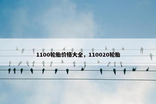 1100轮胎价格大全，110020轮胎