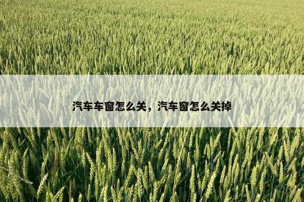 汽车车窗怎么关，汽车窗怎么关掉