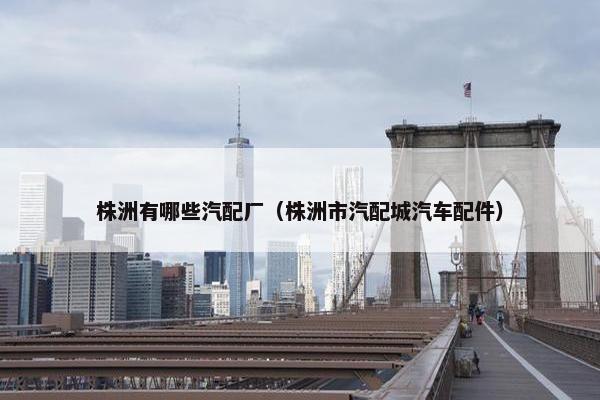 株洲有哪些汽配厂（株洲市汽配城汽车配件）