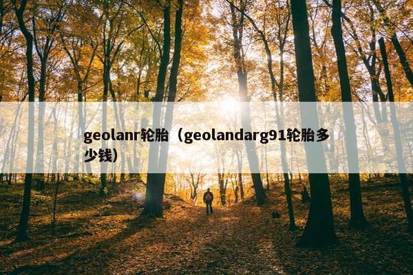geolanr轮胎（geolandarg91轮胎多少钱）