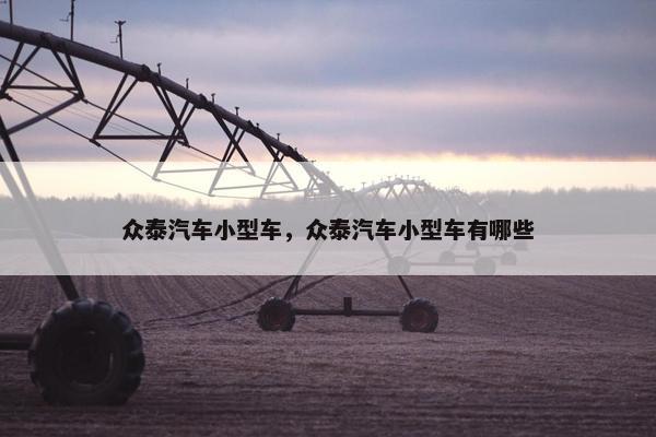 众泰汽车小型车，众泰汽车小型车有哪些