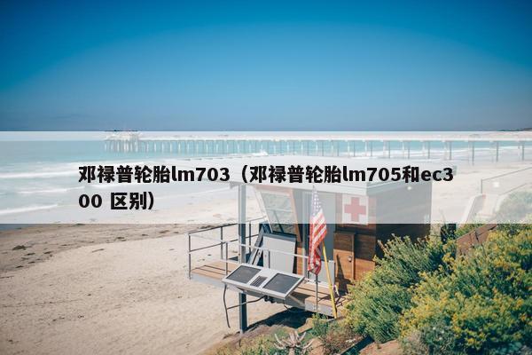 邓禄普轮胎lm703（邓禄普轮胎lm705和ec300 区别）
