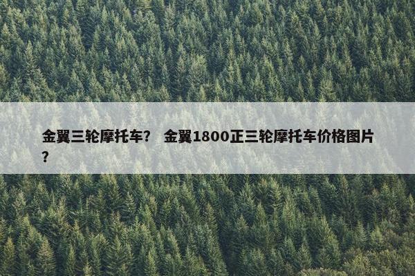 金翼三轮摩托车？ 金翼1800正三轮摩托车价格图片？