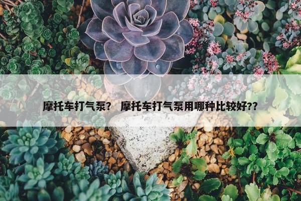 摩托车打气泵？ 摩托车打气泵用哪种比较好?？