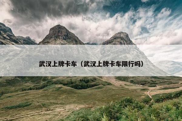 武汉上牌卡车（武汉上牌卡车限行吗）