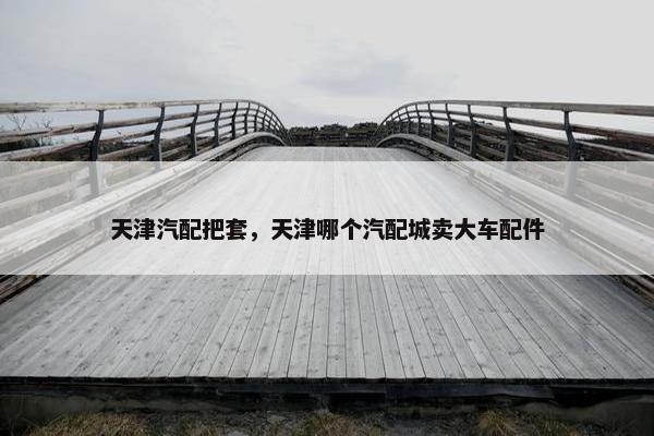 天津汽配把套，天津哪个汽配城卖大车配件