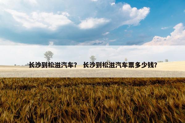 长沙到松滋汽车？ 长沙到松滋汽车票多少钱？