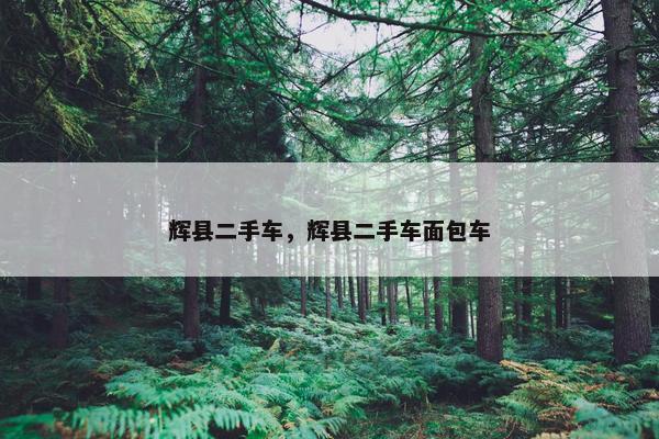 辉县二手车，辉县二手车面包车