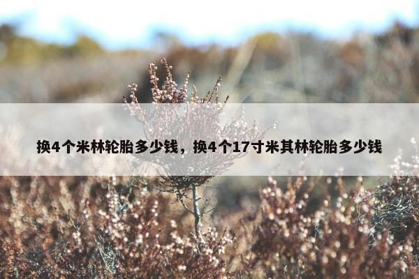 换4个米林轮胎多少钱，换4个17寸米其林轮胎多少钱
