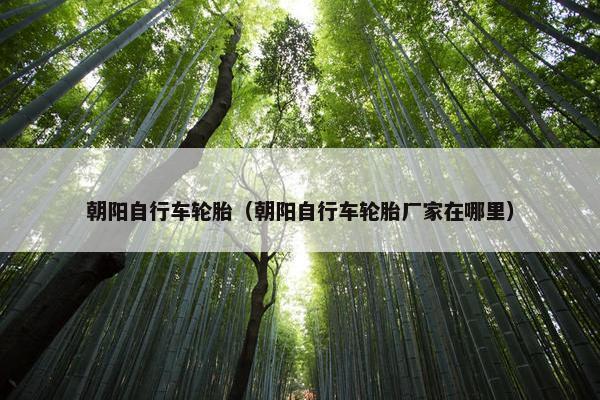 朝阳自行车轮胎（朝阳自行车轮胎厂家在哪里）