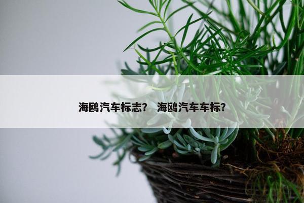 海鸥汽车标志？ 海鸥汽车车标？