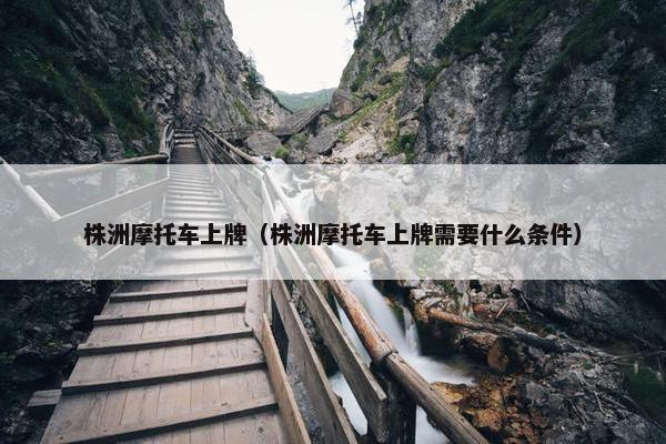 株洲摩托车上牌（株洲摩托车上牌需要什么条件）