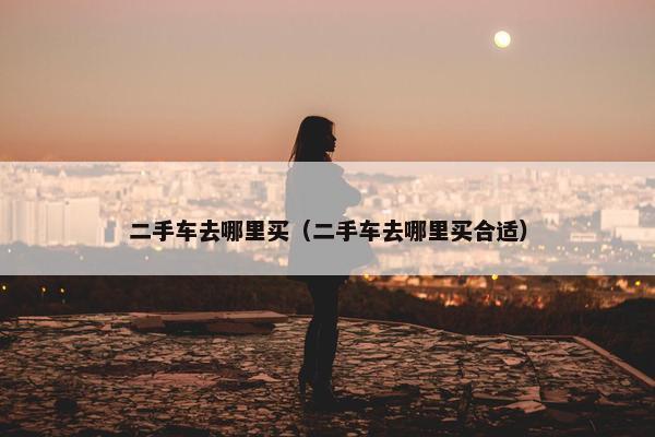 二手车去哪里买（二手车去哪里买合适）