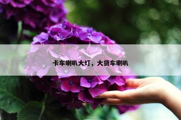 卡车喇叭大灯，大货车喇叭