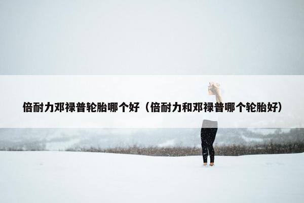 倍耐力邓禄普轮胎哪个好（倍耐力和邓禄普哪个轮胎好）