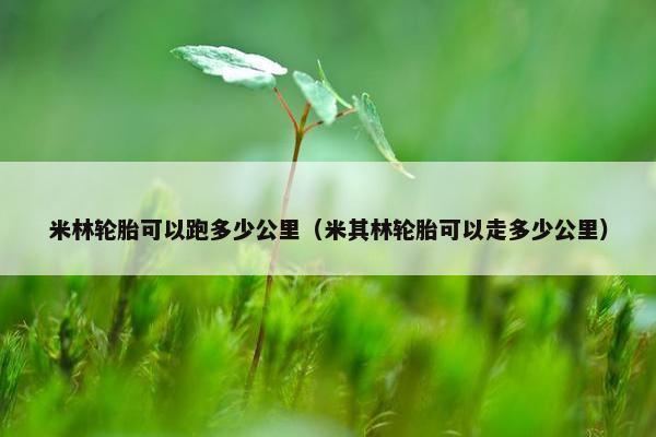 米林轮胎可以跑多少公里（米其林轮胎可以走多少公里）