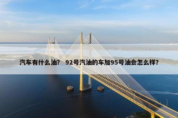汽车有什么油？ 92号汽油的车加95号油会怎么样？