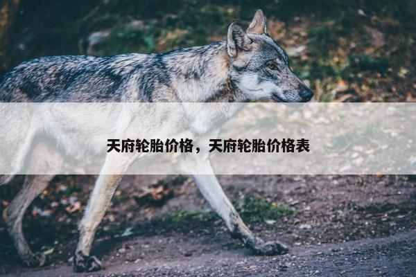 天府轮胎价格，天府轮胎价格表