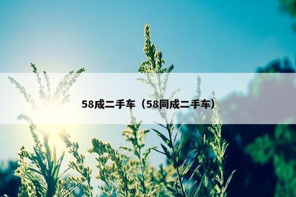 58成二手车（58同成二手车）