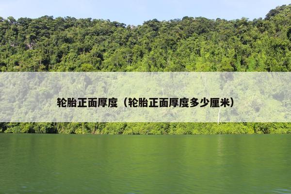 轮胎正面厚度（轮胎正面厚度多少厘米）