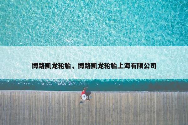博路凯龙轮胎，博路凯龙轮胎上海有限公司