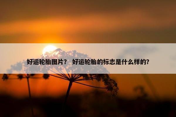 好运轮胎图片？ 好运轮胎的标志是什么样的？