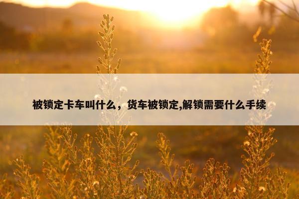被锁定卡车叫什么，货车被锁定,解锁需要什么手续