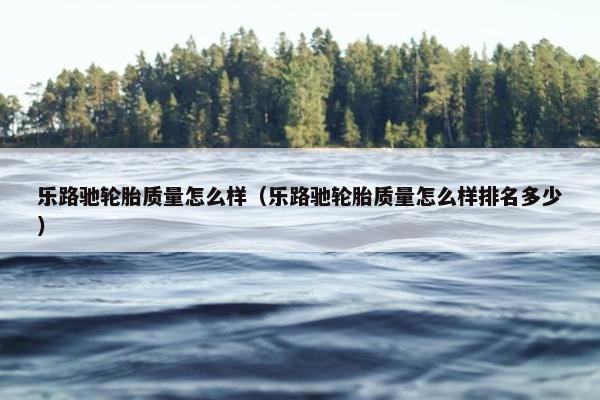 乐路驰轮胎质量怎么样（乐路驰轮胎质量怎么样排名多少）