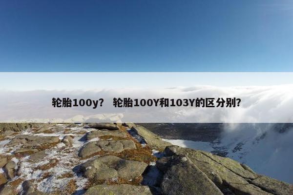 轮胎100y？ 轮胎100Y和103Y的区分别？