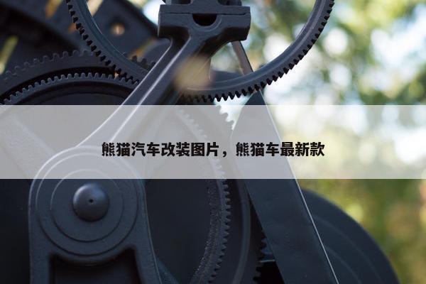 熊猫汽车改装图片，熊猫车最新款