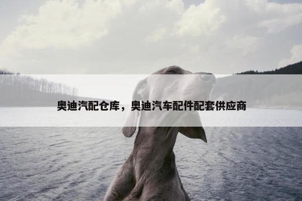 奥迪汽配仓库，奥迪汽车配件配套供应商