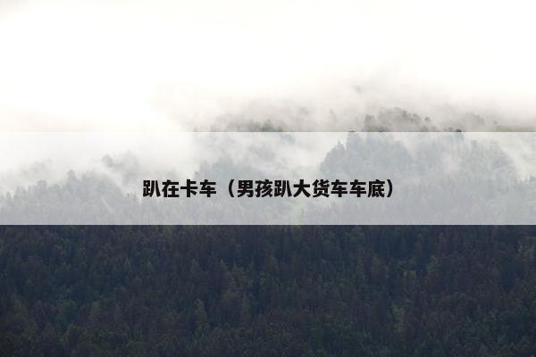 趴在卡车（男孩趴大货车车底）