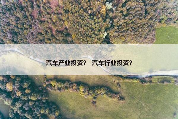 汽车产业投资？ 汽车行业投资？