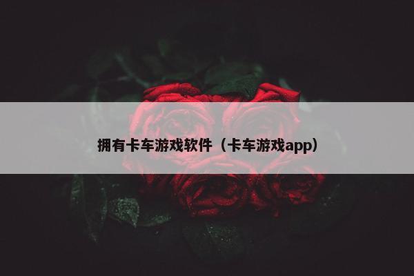 拥有卡车游戏软件（卡车游戏app）
