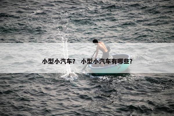 小型小汽车？ 小型小汽车有哪些？