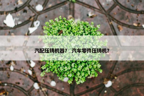 汽配压铸机器？ 汽车零件压铸机？