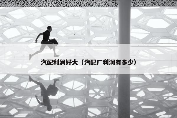 汽配利润好大（汽配厂利润有多少）
