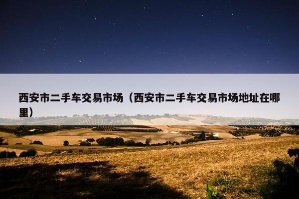 西安市二手车交易市场（西安市二手车交易市场地址在哪里）