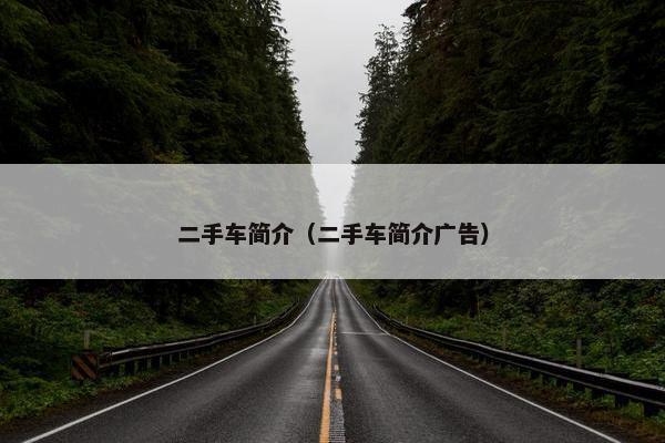 二手车简介（二手车简介广告）