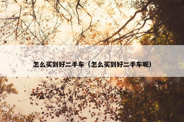 怎么买到好二手车（怎么买到好二手车呢）