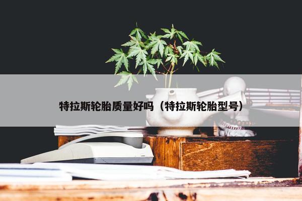 特拉斯轮胎质量好吗（特拉斯轮胎型号）