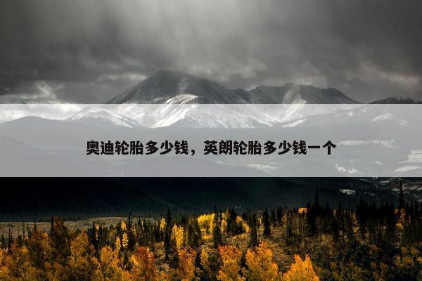 奥迪轮胎多少钱，英朗轮胎多少钱一个