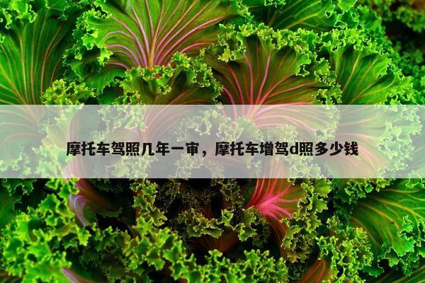 摩托车驾照几年一审，摩托车增驾d照多少钱
