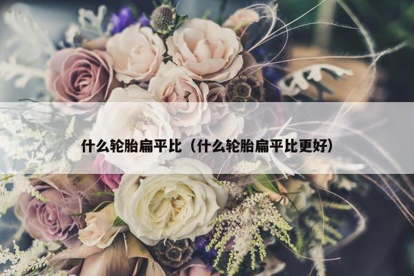 什么轮胎扁平比（什么轮胎扁平比更好）