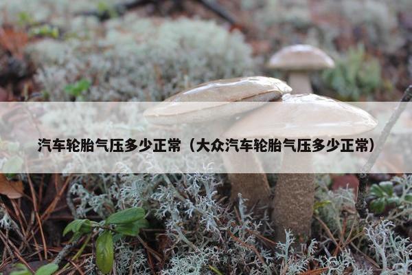 汽车轮胎气压多少正常（大众汽车轮胎气压多少正常）
