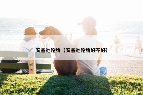 安睿驰轮胎（安睿驰轮胎好不好）