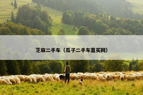 芝麻二手车（瓜子二手车直买网）