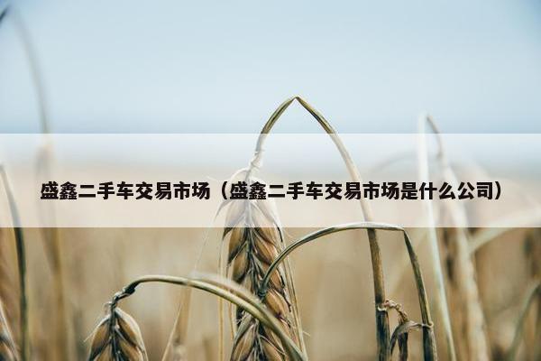 盛鑫二手车交易市场（盛鑫二手车交易市场是什么公司）
