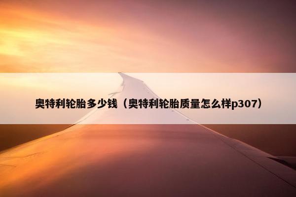 奥特利轮胎多少钱（奥特利轮胎质量怎么样p307）