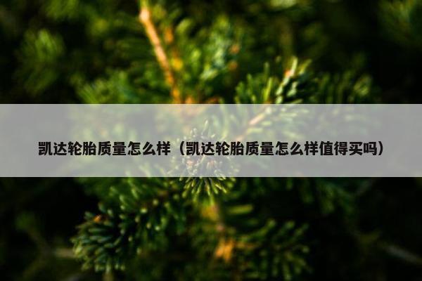 凯达轮胎质量怎么样（凯达轮胎质量怎么样值得买吗）